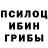Галлюциногенные грибы Psilocybine cubensis Katherin Kamyshnikova