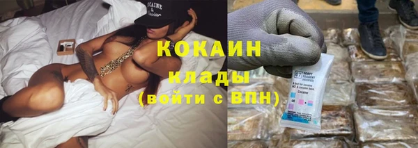 крисы Инсар