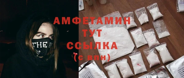 apvp Инта