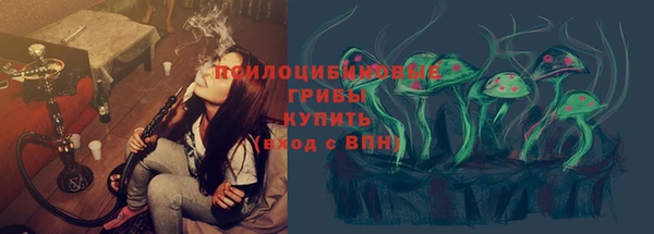 apvp Инта