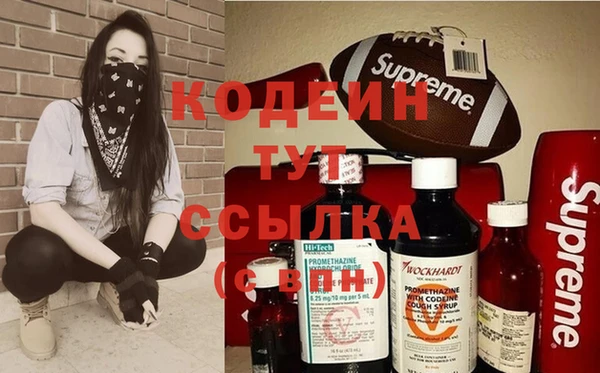 apvp Инта