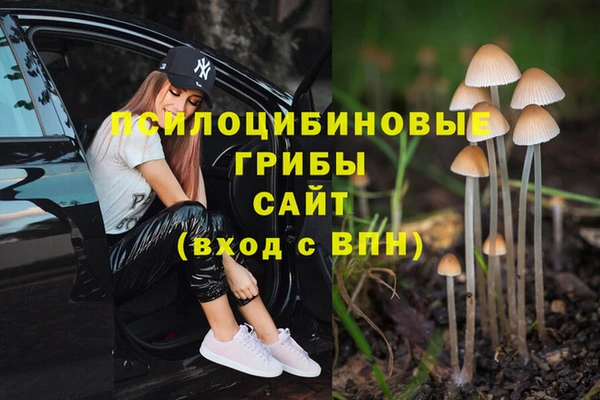 мяу мяу мука Каменка