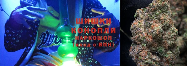 apvp Инта